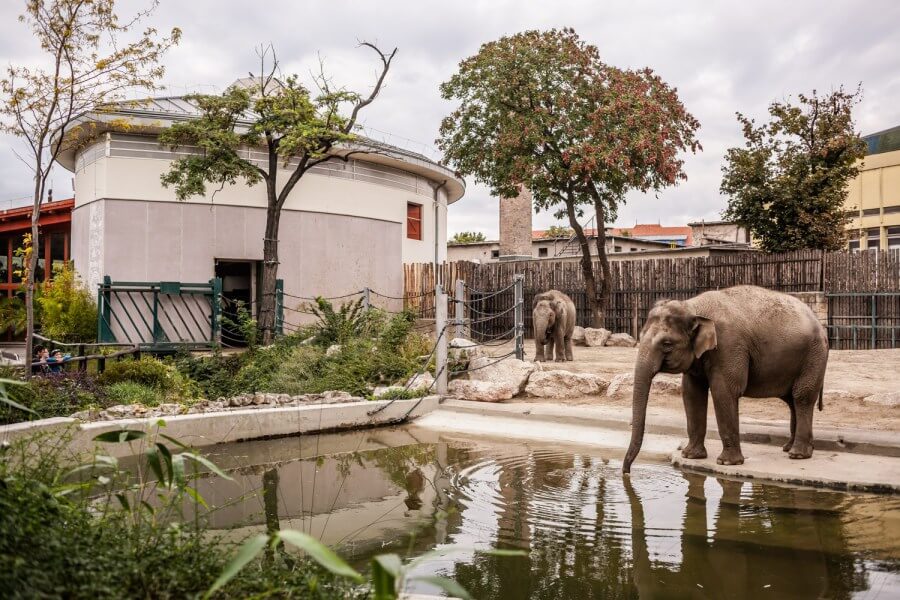 Будапешский зоопарк